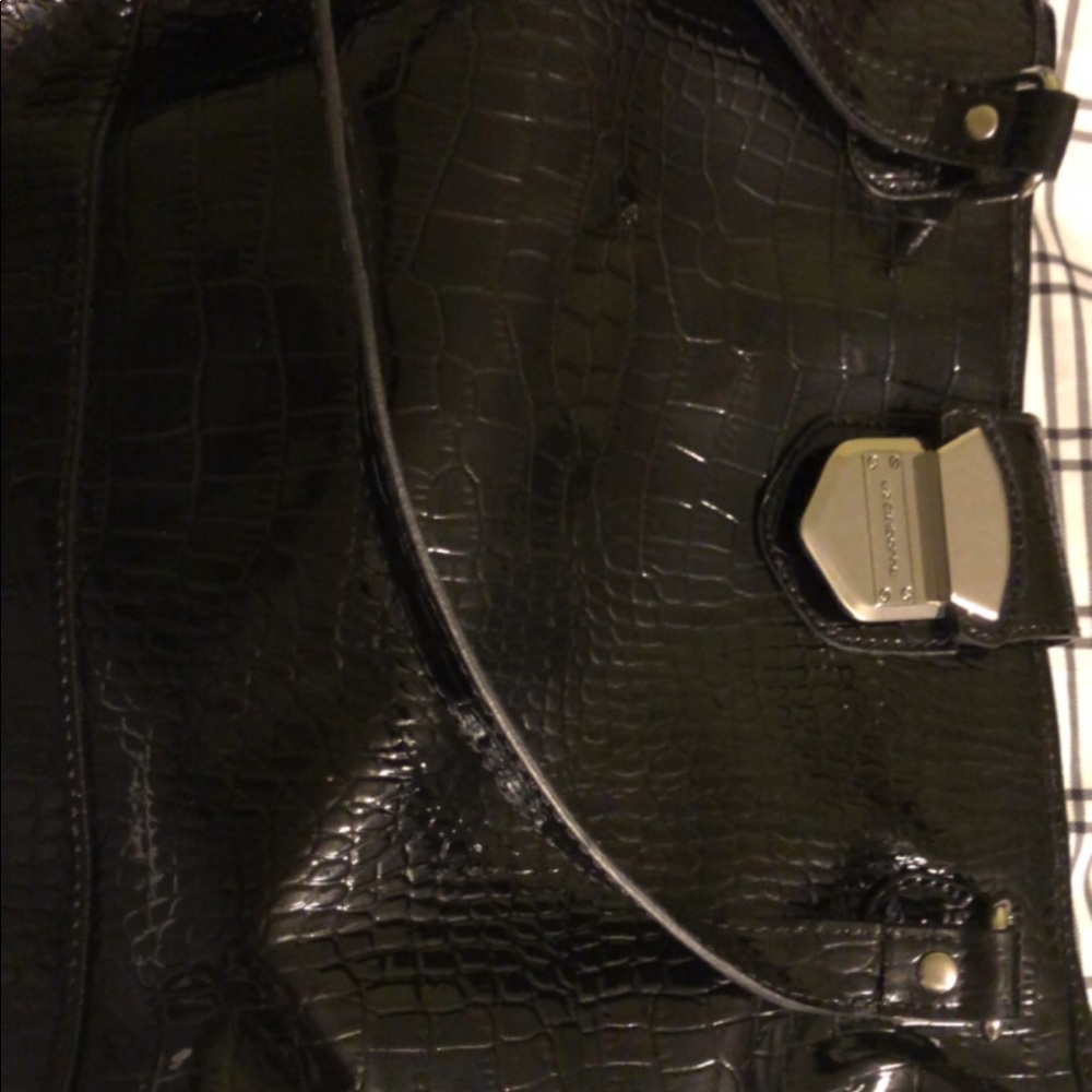 Liz Claiborne Bag